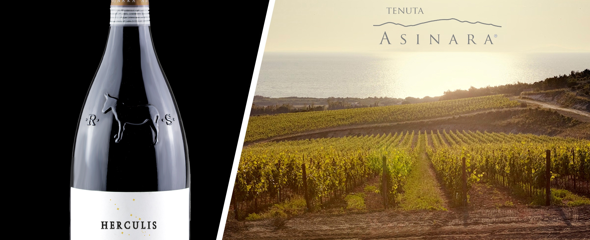 Vino Rosso Herculis Tenuta Asinara