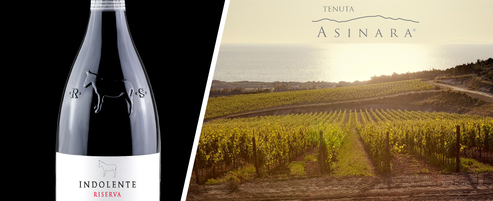 Indolente Riserva | Tenuta Asinara | Cannonau
